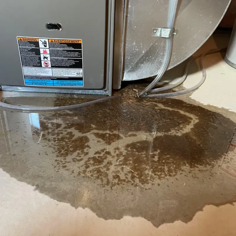 Appliance Leak Cleanup in Madison County, IN